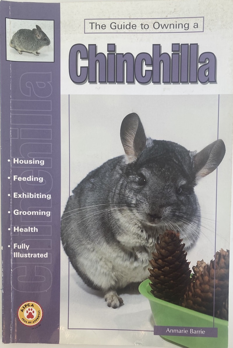 The Guide to Owning a Chinchilla