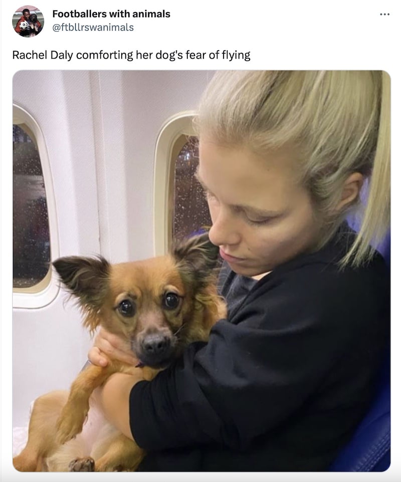 Rachel Daly with her dog Dexi on a plane.