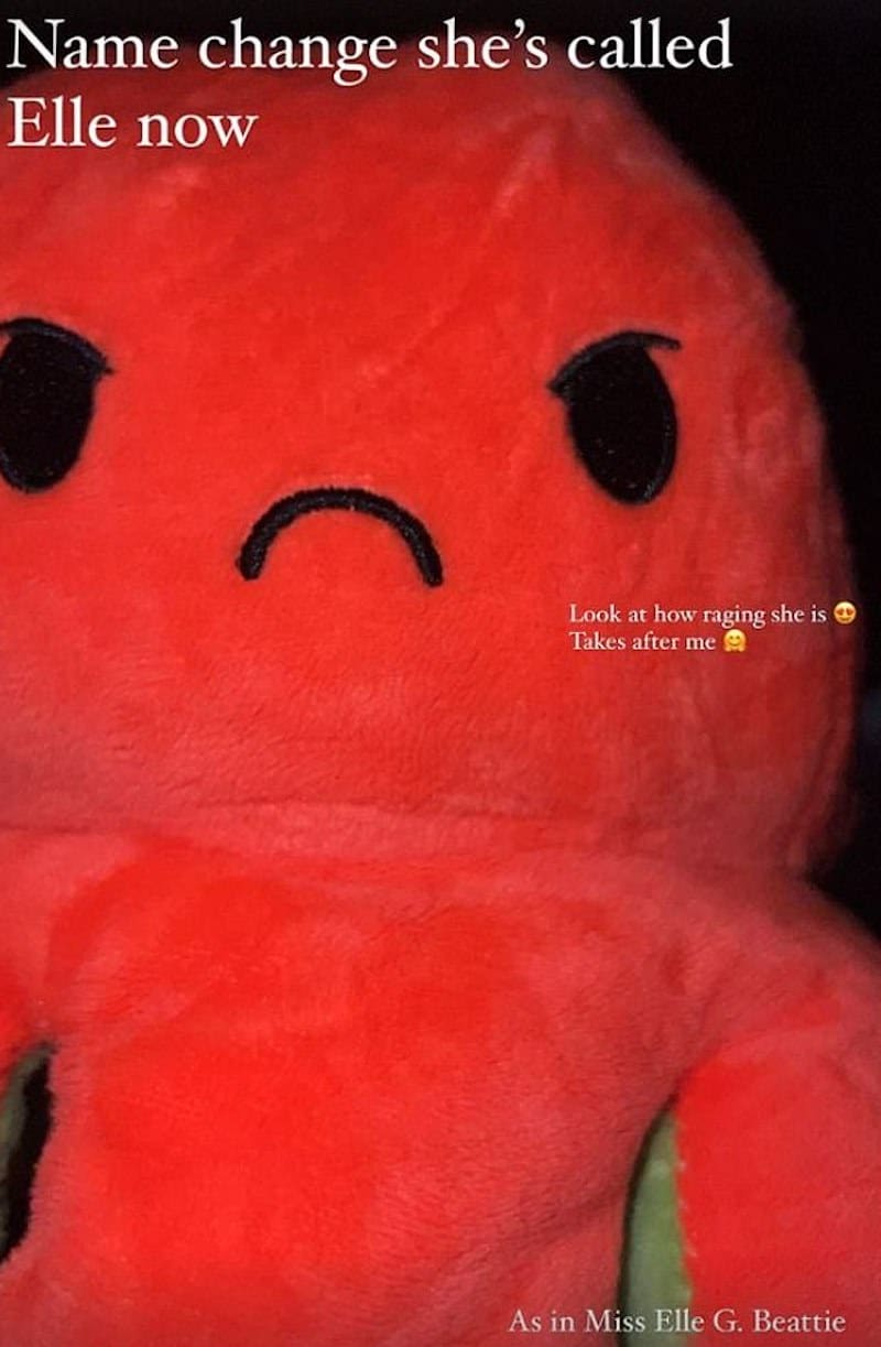 Instagram story by Amber Rose Gill depicting TikTok octopus adopted by her and gf Jen Beattie from Winter Wonderland
