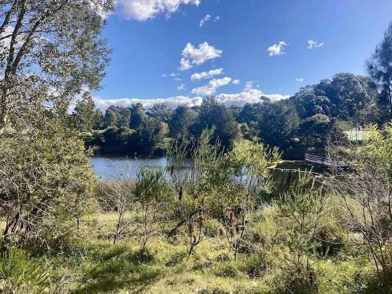 A lovely park in Sydney