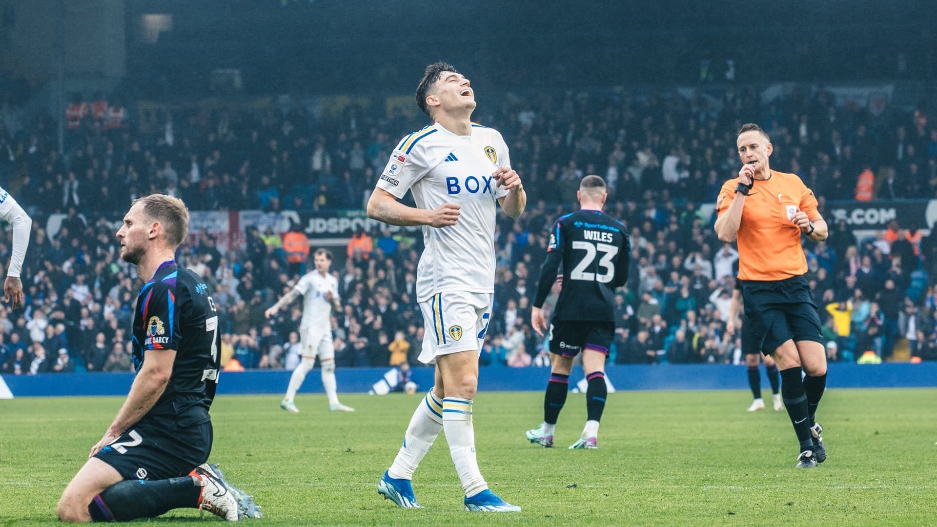 Dan James, after a first half attempt that didn't go in against Huddersfield, has his head back laughing uproariously anyway. Poor old Tom Lees is kneeling on the floor next to him. Poor old Tom Lees is not laughing.